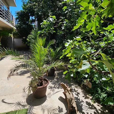 Dora Maison d'hôtes