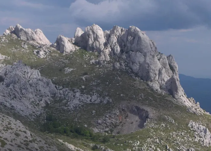 Dora Gasthuis Rovanjska