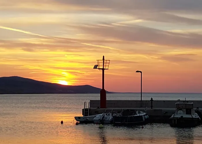 Dora Gasthuis Rovanjska