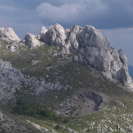 Dora Pensionat Rovanjska