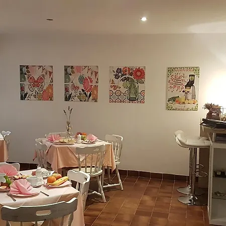 Konukevi Dora Rovanjska