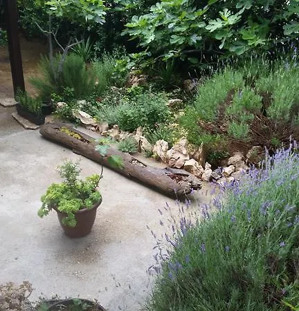 Bed & Breakfast Dora Guest house 3*